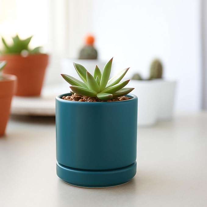 D'vine Dev Set of 4 Small Ceramic Plant Pots, 3.5 Inch Succulent Planter Pot for Plants with Drainage Hole and Saucer, Teal, 94-X-A-9