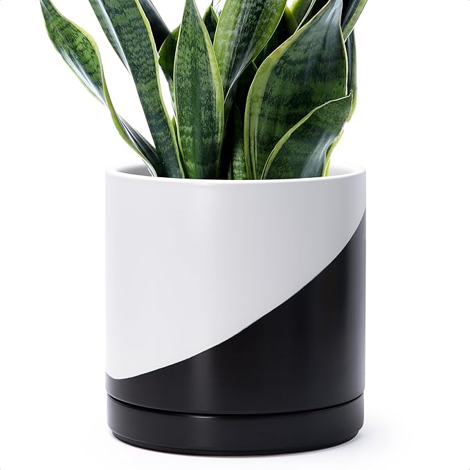D'vine Dev 10 Inch Ceramic Planter Pot with Drainage Hole and Saucer, Indoor Cylinder Round Planter Pot, Oblique Monochrome Black and White, 94-O-E-K