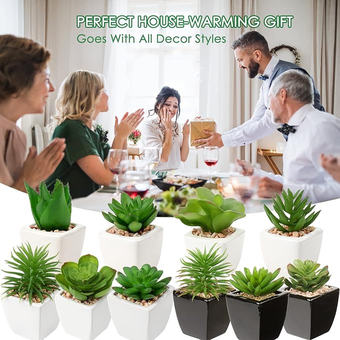 Hollyone Small Succulents Artificial 3 Pcs Faux Succulents in Pots Fake Succulent Plants with Black Ceramic Pots for Modern Home Office Desk Bathroom Shelf Living Room Decor