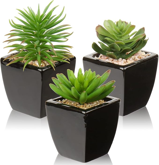 Hollyone Small Succulents Artificial 3 Pcs Faux Succulents in Pots Fake Succulent Plants with Black Ceramic Pots for Modern Home Office Desk Bathroom Shelf Living Room Decor