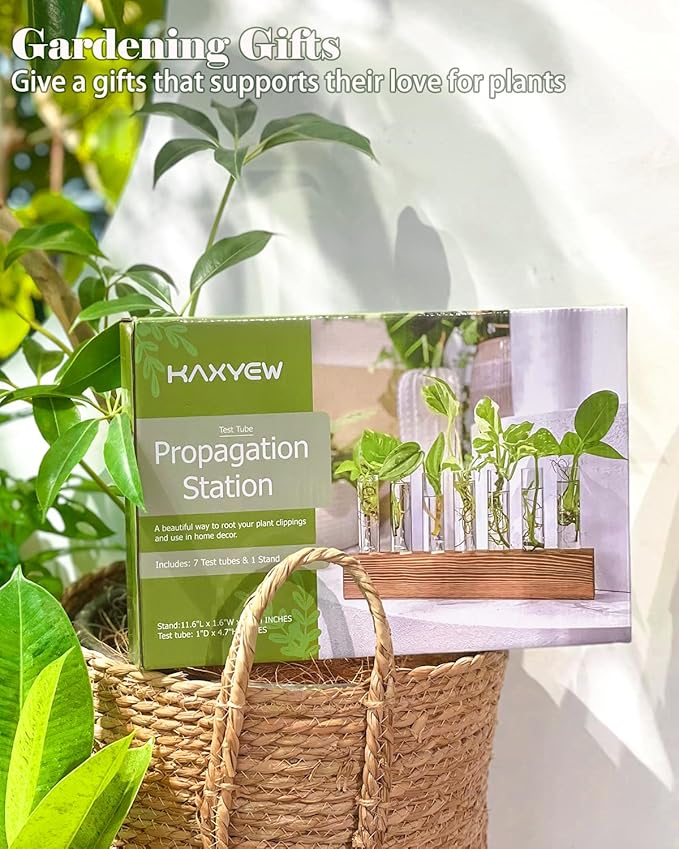 KAXYEW Plant Terrarium with Wooden Stand, Plant Propagation Tubes, 7 Test Tubes Glass Planter for Hydroponic Plant Cuttings Home Office Décor