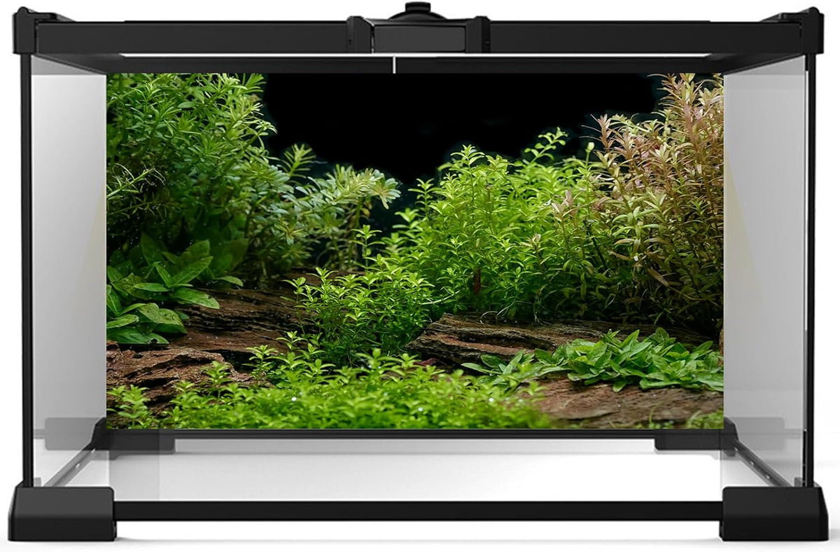 Aquarium Background Underwater Green Grass Leaves Stone Aquarium Backdrop Vivid and Fresh Green Aquatic Plant Stone River Bed and Lake Fish Tank Background Decor Vinyl 36x24in