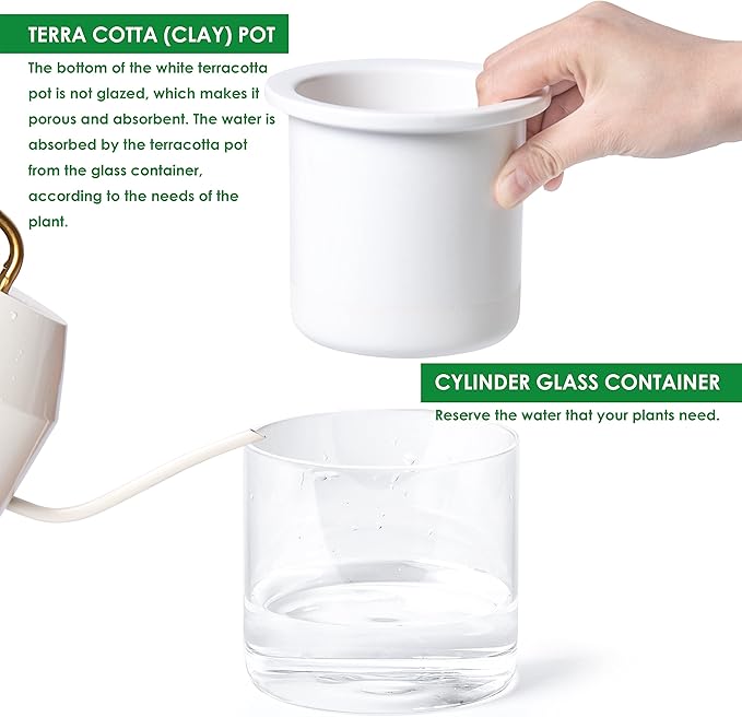 Phoenix Vine 4 Inch Self Watering Planter Pot, Design White Terracotta Pots for Plants, Indoor Cylinder Terra Cotta Pots with Glass Vase, Set of 4, 51-B-E-4