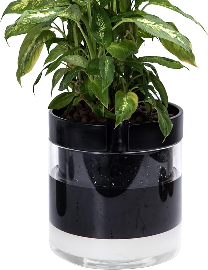 Phoenix Vine 10 Inch Self Watering Terracotta Planter, Black Terracotta Clay Pot with Glass Reservoir for Indoor Plants, Herbs, Flowers, Set of 1, 52-C-I-1