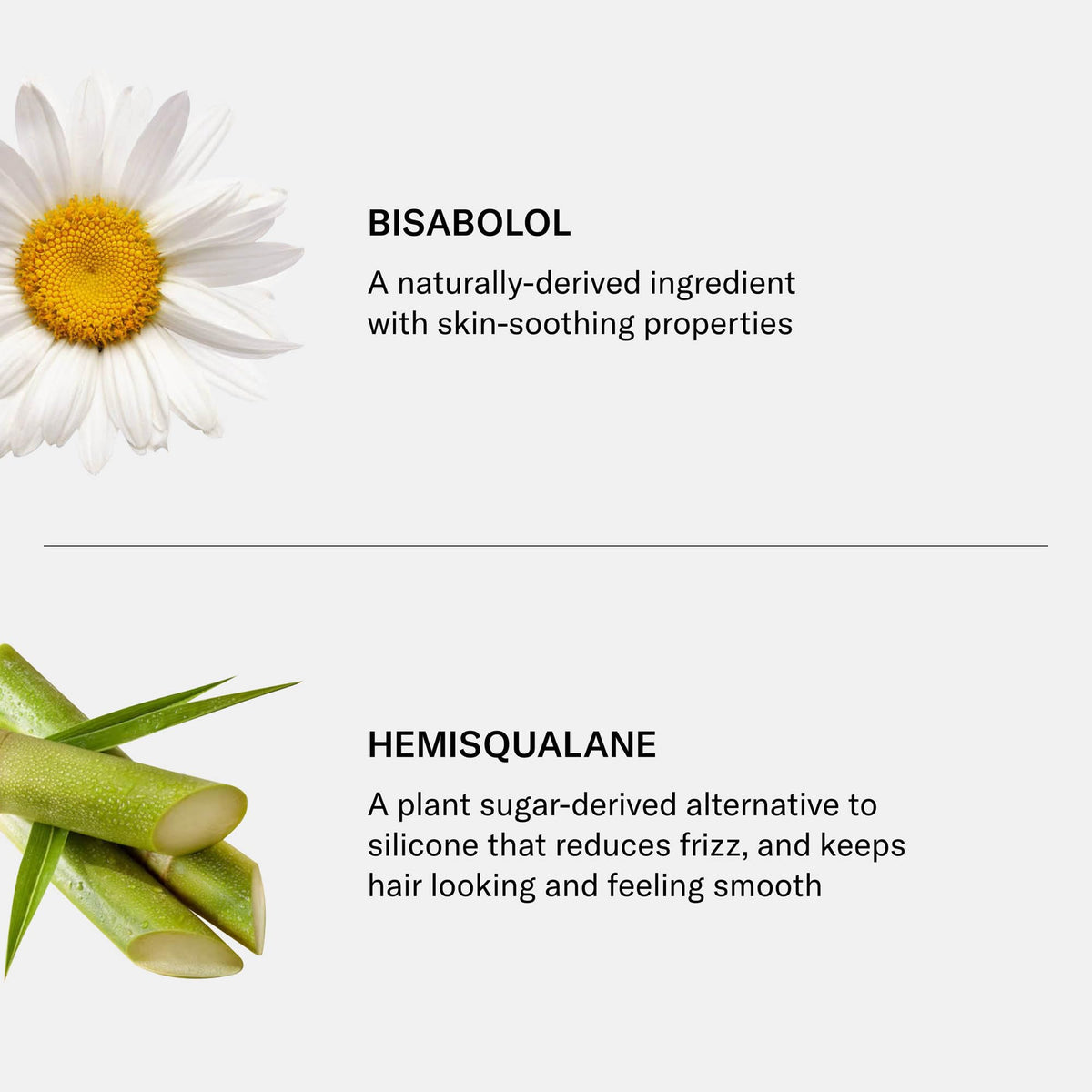 SEEN Conditioner, Scented - Non-Comedogenic Hair Conditioner - Dermatologist-Developed - Safe for Sensitive, Eczema & Acne Prone Skin
