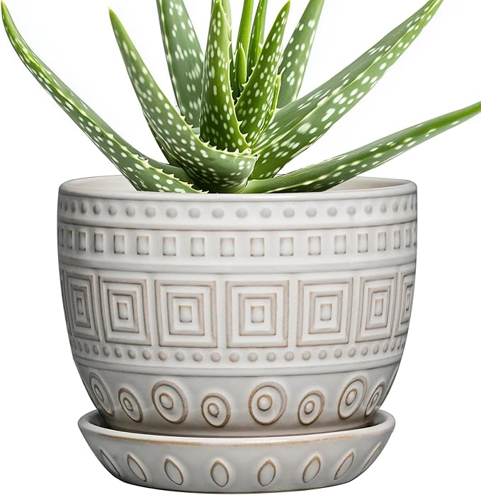 G EPGardening Ceramic Pots for Plants - 5 Inch Plant Pot Indoor with Drainage Hole and Saucer, Outdoor Flower Pot, Decorative Round Planter for Succulent Orchid Snake Plants, White