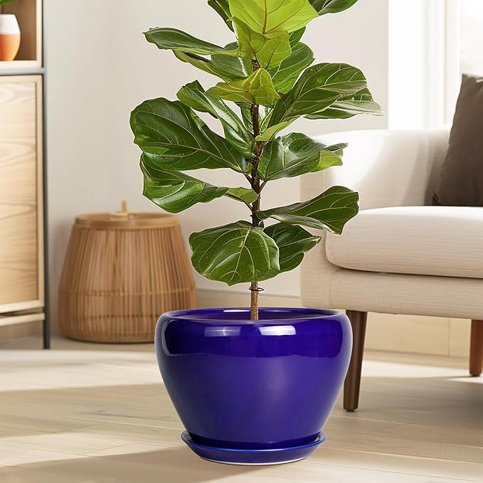 Ceramic Planter 10 Inch - Indoor Plant Pot for Plants with Drainage Hole and Saucer Large Planter Round Outdoor Flower Pot Mid-Century for House Patio Decor Blue
