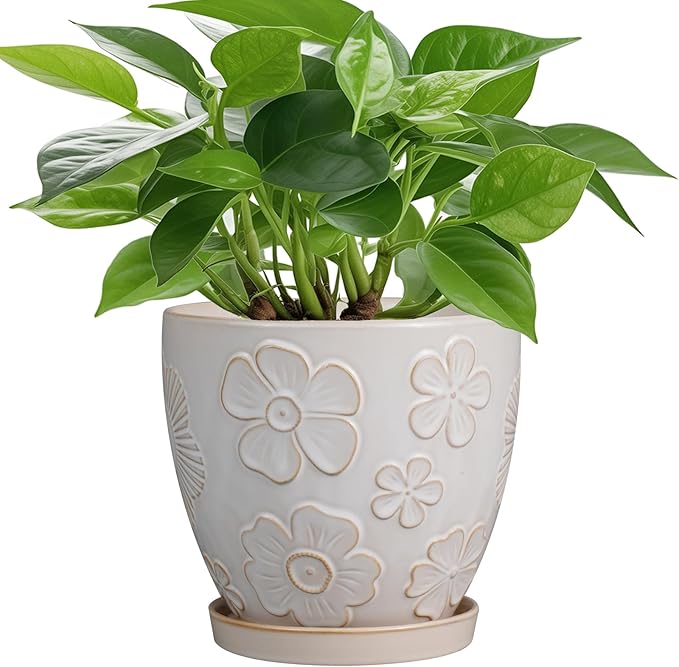 6.9 Inch Plant Pot with Drainage Hole and Saucer Ceramic Planter for Indoor Plant Flower Pot for Orchid Succulents Plants White