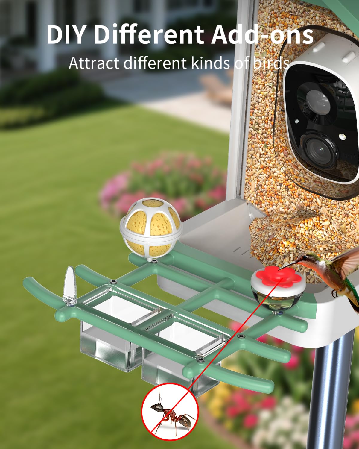 Bird Feeder with Camera, 2K Smart BirdCamera with Solar Powered, AI Identify Birds Species, Instant Arrival Alerts, 2.4Ghz WiFi Bird House for Outdoors, Ideal Gift for Family and Bird Lovers (Green)