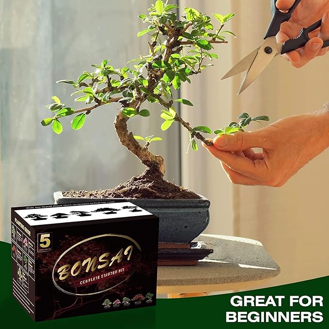 Bonsai Tree Kit with Complete Plant Growing Tools, Grow in Pot Indoor Bonsai Tree Starter Kit, Home Gardening DIY Gift for Adult