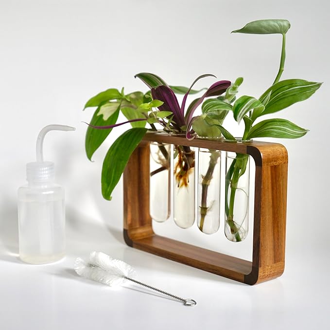 Source & Plot - Plant Propagation Station - Acacia Wood Stand 4 Glass Test Tube Hydroponic Tabletop Rooting Terrarium Planter Rack Home and Office Decor - Last Batch