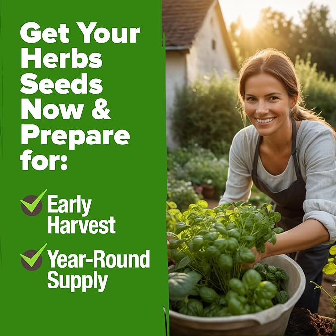 HOME GROWN 5 Herb Seeds for Planting 2,150+ Non-GMO Heirloom Seeds | Extra Large Variety Pack Herb Kit – Indoor Outdoor & Hydroponic | Culinary Seed Set | Grow Your Own Herbs | Gift for Beginners