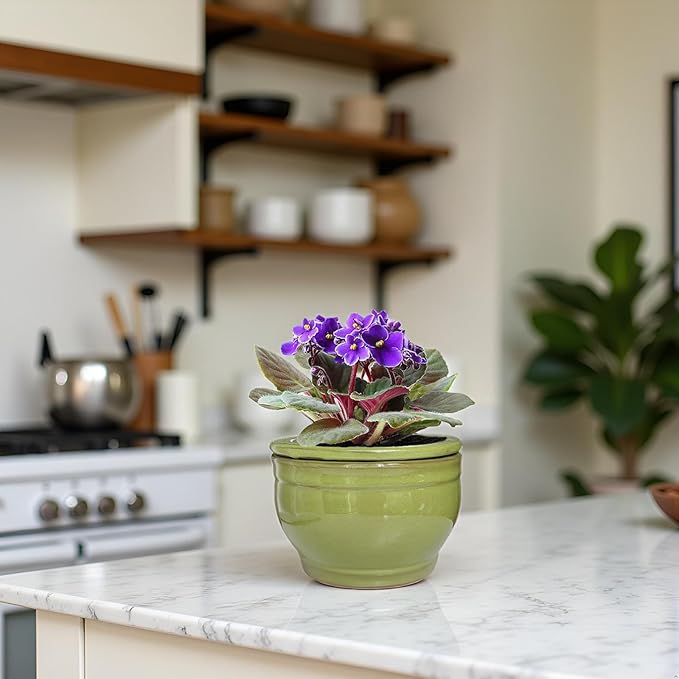 African Violet Pots Self Watering Round Ceramic Violet Pot (Green, 6 inch)