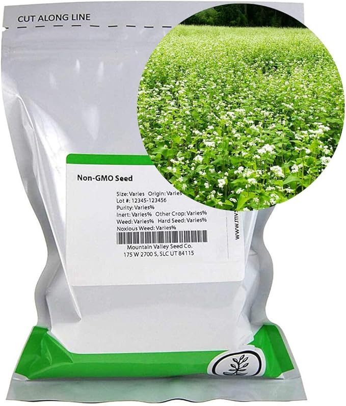 Buckwheat Seeds - 1 Lb ~15,000 Seeds - Organic, Non-GMO, Whole (Shell On) - Grow Buck Wheat Microgreens