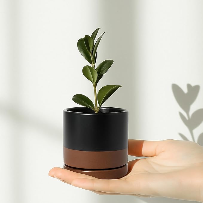 D'vine Dev 3.5 Inch & 4.7 Inch Ceramic Planter Pots for Plants with Drainage Hole and Saucer, X-Small Plant Pots Set, Black/Speckled Tan, 94-G-XS-7