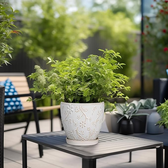 6 Inch Ceramic Plant Pot for Indoor Plants Outdoor Round Planter Flower Pot with Drainage Hole and Saucer for Home Garden Office Decor White
