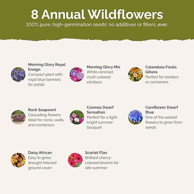 Eden Brothers Royal Meadow Flower Mixed Seeds for Planting, 5 lb, 2,400,000+ Seeds with Morning Glory, African Daisy | Attracts Pollinators, Plant in Spring or Fall, Zones 3, 4, 5, 6, 7, 8, 9, 10