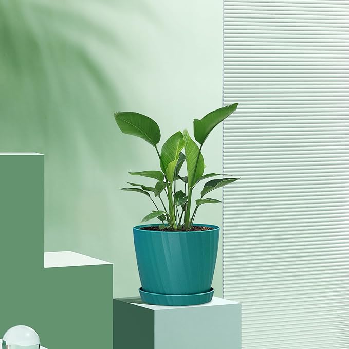6 Inch Plant Pots Bulk, 6 Pack Plastic Planters with Drainage Holes and Saucers for Indoor Outdoor House Plants and Flowers, Green