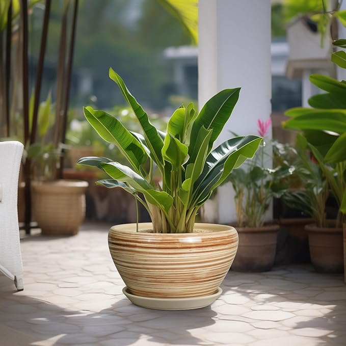 Ceramic Pot for Plants - 13 Inch Planter for Outdoor Plants Indoor Plant Pot with Drainage Hole and Saucer Large Planter Round Flower Pot for House Patio Garden Decor Yellow