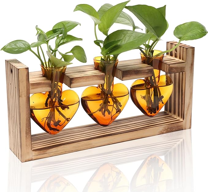 Plant Terrarium Propagation Stations Hydroponics Home Garden Decoration Gift for Women with Wooden Stand Heart Shaped Colored Glass Vase