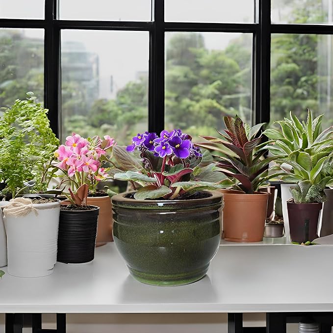 African Violet Pots Self Watering Round Ceramic Violet Pot (Olive drab, 6 inch)