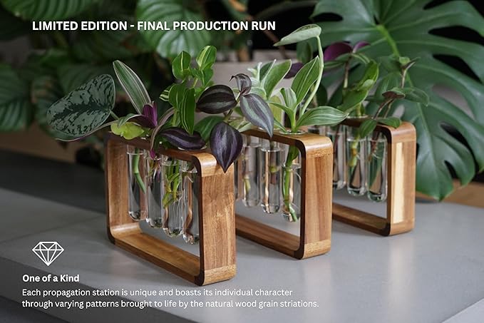 Source & Plot - Plant Propagation Station - Acacia Wood Stand 4 Glass Test Tube Hydroponic Tabletop Rooting Terrarium Planter Rack Home and Office Decor - Last Batch