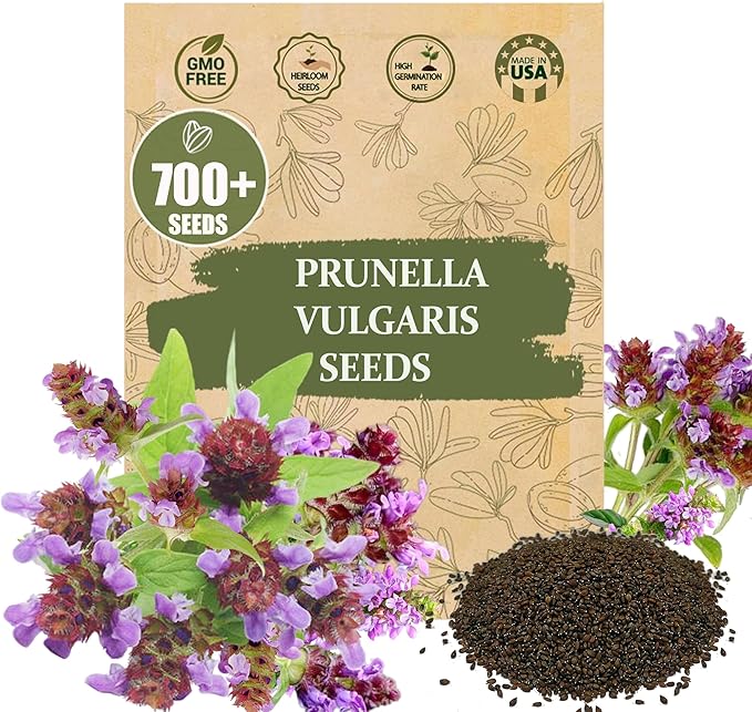 Premium Prunella Vulgaris Seeds - 700+ Non-GMO Self Heal Herb Seeds for Planting - Heirloom Medicinal Herb, Attracts Pollinators - Easy to Grow for Garden, Indoors or Outdoors (Prunella vulgaris)