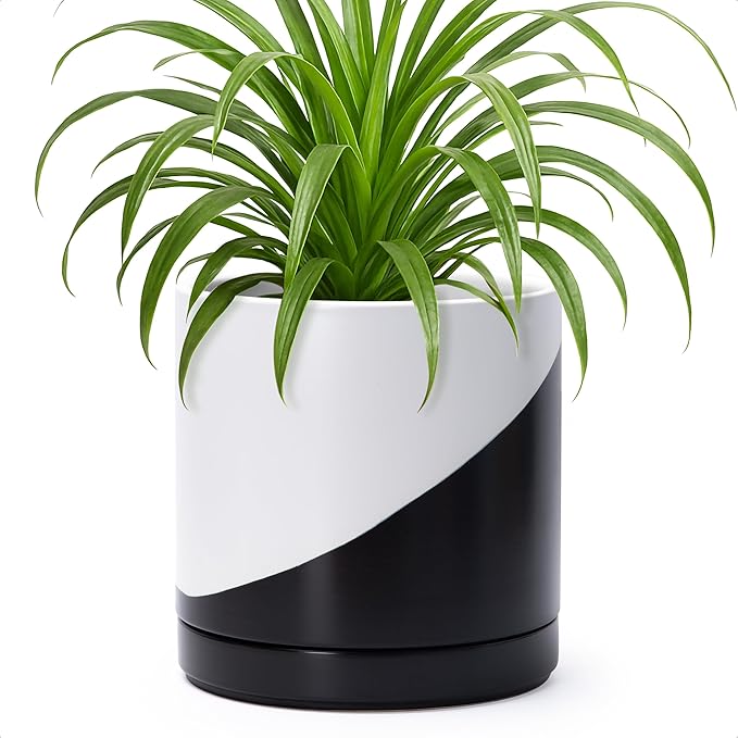 D'vine Dev 8.2 Inch Ceramic Planter Pot with Drainage Hole and Saucer, Indoor Cylinder Round Planter Pot, Oblique Monochrome Black and White, 94-O-D-K
