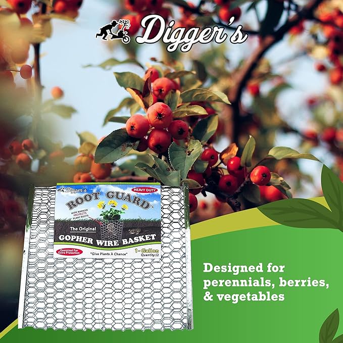 Digger’s 1-Gallon Heavy-Duty Wire Basket - Gopher Wire Basket for Perennials & Vegetables (12 Baskets)