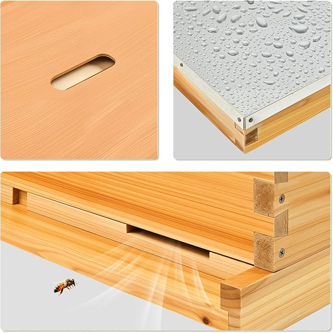 CREWORKS 10 Frame Bee Hive, 2 Layers Beeswax Coated Beehive Starter Kit with Frames & Foundations, Langstroth Bees Hives Box with Transparent Acrylic (Window Medium Box & Deep Box)