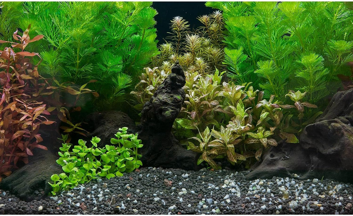 Aquarium Background Exquisite Underwater Grass Leaves with Pebbles Aquarium Backdrop Vivid Green Aquatic Plant Stone with Dead Woods and Fresh Leaves Fish Tank Wallpaper 36x24in