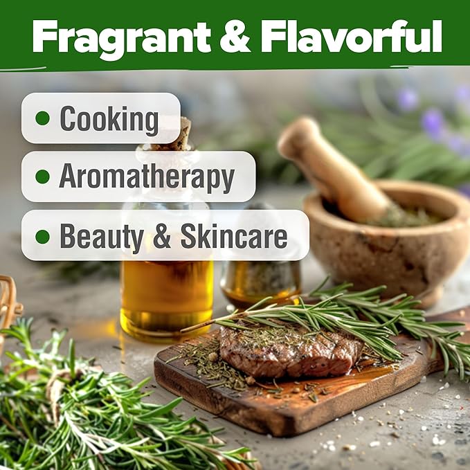 HOME GROWN 𝗨𝗦𝗔 𝗣𝗥𝗘𝗠𝗜𝗨𝗠 Rosemary Seeds Pack - 150 High Germinating 𝗡𝗢𝗡-𝗚𝗠𝗢 Heirloom Herb Seeds for Planting in Indoor or Outdoor Herb Gardens (Salvia rosmarinus)