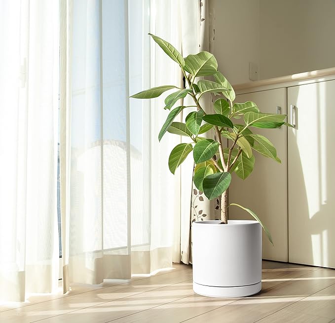 D'vine Dev 12 Inch Ceramic Planter Pot with Drainage Hole and Saucer, Indoor Cylinder Round Planter Pot, White, 94-O-F-1