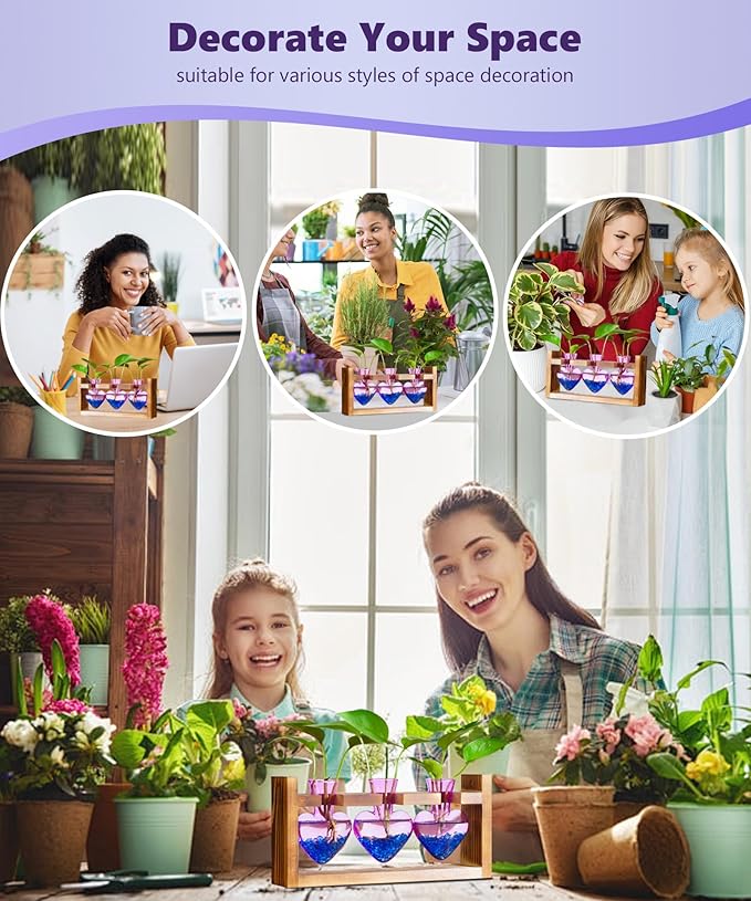 Nacome Plant Terrarium for Office Decor: Birthday Gifts for Plant Lovers Women Mom Wife - Wooden Stand Tabletop Planter 3 Bulb Glass Vase Heart Shaped for Hydroponics Indoor Home(Purple)