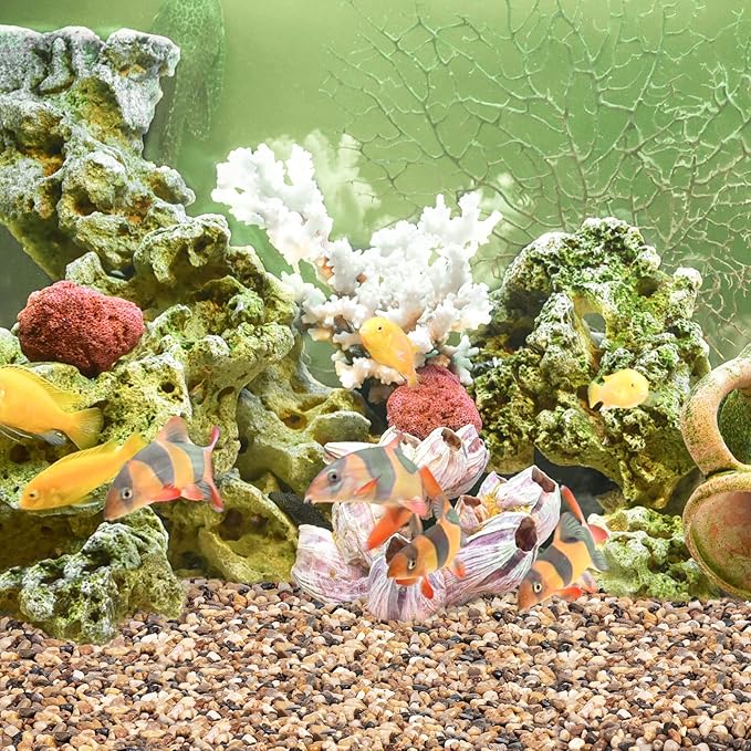 GASPRO Drainage Pebbles for Indoor Plants, 1/5 Inch Small Rocks for Potted Plants, Decorative Pebbles for Succulent, Cactus, Crafts, Bamboo, Pea Gravel for Landscaping, Aquarium, Fish Tank, 5lbs