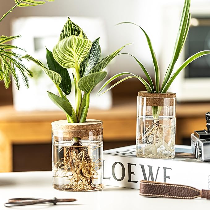 Glass Plant Propagation Stations for Plants – Set of 4(2 Large & 2 Small) Hydroponic Vases for Plant Cuttings,Flower Arrangements, Home & Office Decor–Desktop Vases for Living Room, Bedroom (4)