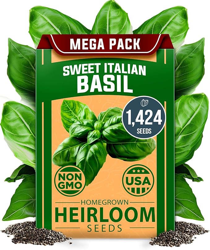 HOME GROWN 𝗨𝗦𝗔 𝗣𝗥𝗘𝗠𝗜𝗨𝗠 Italian Basil Seeds Bulk Pack 1,424 Sweet Large Leaf Basil Seeds for Planting 𝗡𝗢𝗡-𝗚𝗠𝗢 and Heirloom Herb Seeds for Planting Indoors or Outdoors (Ocimum basilicum)