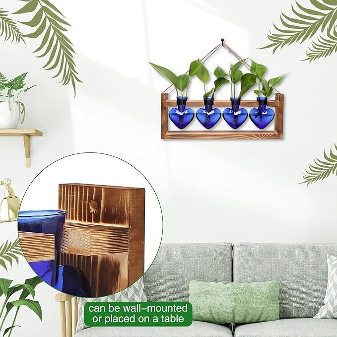 Plant Propagation Stations Heart Plant Terrarium Kit Gift for Women Plant Lover Glass Vases