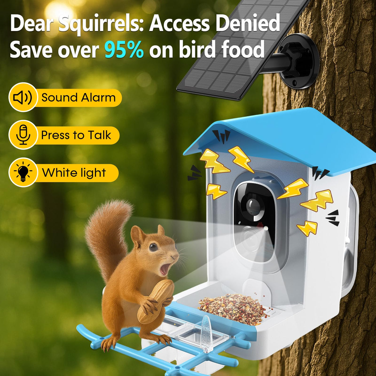 Solar Powered Bird Feeder with Camera: One Full Charge Lasts for Weeks