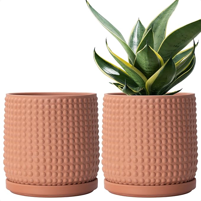 D'vine Dev Set of 2 Ceramic Plants Pots, 6 Inch Beaded Stoneware Flower Pot for Plants with Drainage Hole and Saucer, Terracotta, 27-E-X-7