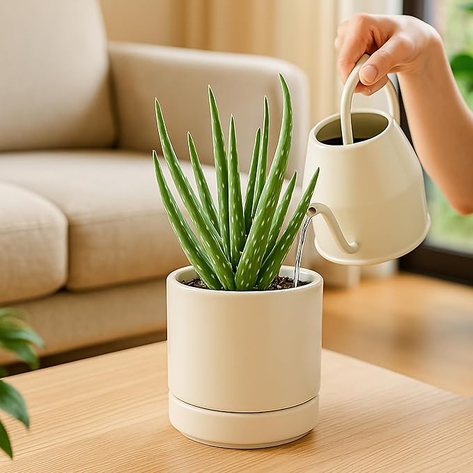 D'vine Dev 4.7 Inch Ceramic Planter Pot with Drainage Hole and Saucer, Indoor Cylinder Round Planter Pot, Oatmeal, 94-O-B-8