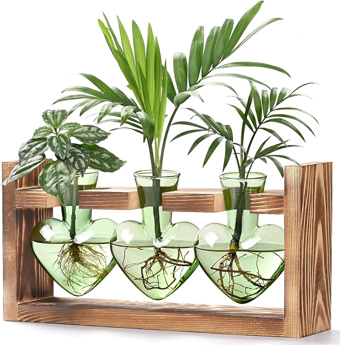 Lifecapido Heart Shaped Propagation Stations, Plant Terrarium with Wooden Stand, Plant Propagation Station for Hydroponics Office Garden Home Decor, Gifts for Women Plant Lover (3 Vases, Mint Green)