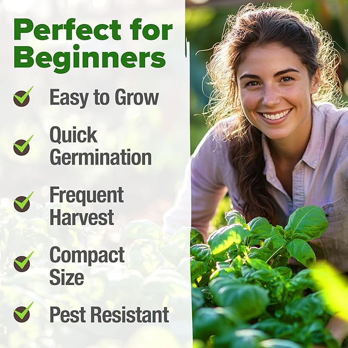 HOME GROWN Genovese Basil Seeds 2 Pack - 3500 𝗡𝗢𝗡-𝗚𝗠𝗢 𝗨𝗦𝗔 Heirloom Basil Seeds for Planting (Ocimum basilicum) - Herb Seeds for Indoor & Outdoor Gardening - Grow for Culinary Use