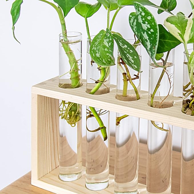 Ivolador Plant Propagation Station Terrariumin Wall Test Tube Vases Bud Tabletop Glass Wooden Stand with 5 Propagation Tubes for Propagating Hydroponic Plants Home Garden Wedding Decoration-Beige