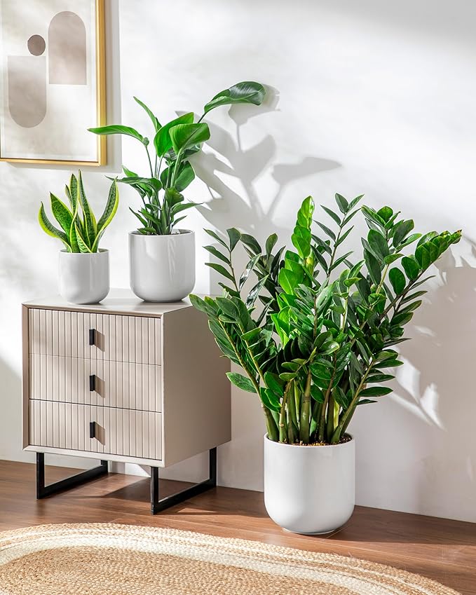 vancasso 6+8+10 inches Ceramic Plant Pots, Set of 3, Planters with Drainage Hole, Flower Pots Planters Pots for Indoor Plants, Modern Indoor Decorative Garden Pot, Home Decor, White