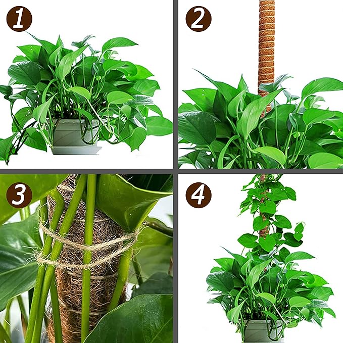 60 Inch Moss Pole for Plants Monstera, Tall Bendable Moss Poles for Climbing Plants Indoor, Large Handmade Plant Pole Sticks, Coco Coir Plant Support Stakes for Potted Plants, Pothos