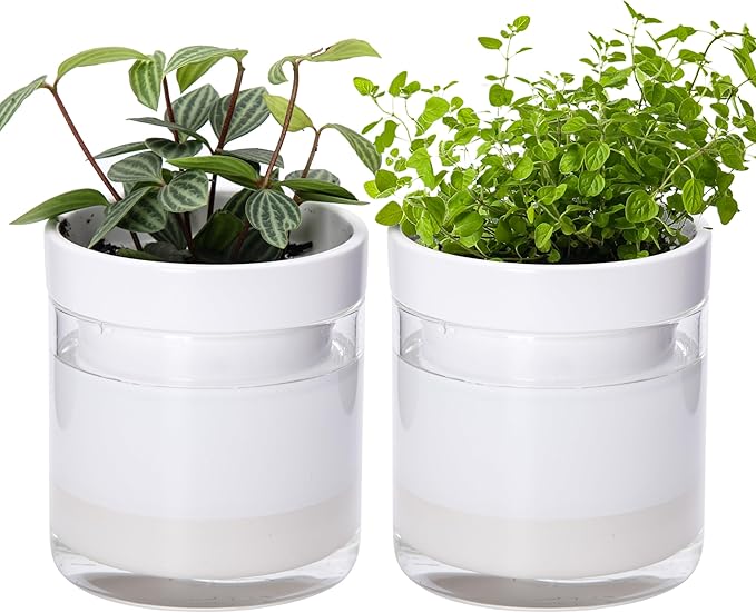 Phoenix Vine 4 Inch Self Watering Planter, White Terracotta Clay Pot with Glass Reservoir for Indoor Plants, Herbs, Flowers, Set of 2, 52-B-E-2