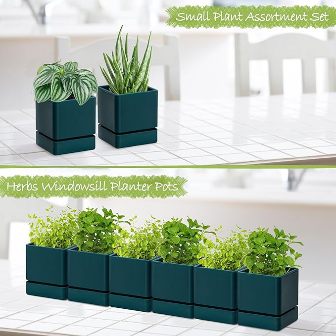 4 Inch Herb Planter Pot, Plastic Planter with Drainage Holes and Saucer, Modern Decorative Gardening Pot for Indoor Plants, Flowers, Herbs, Succulents, Green, Set of 6, 76-Y-C-6