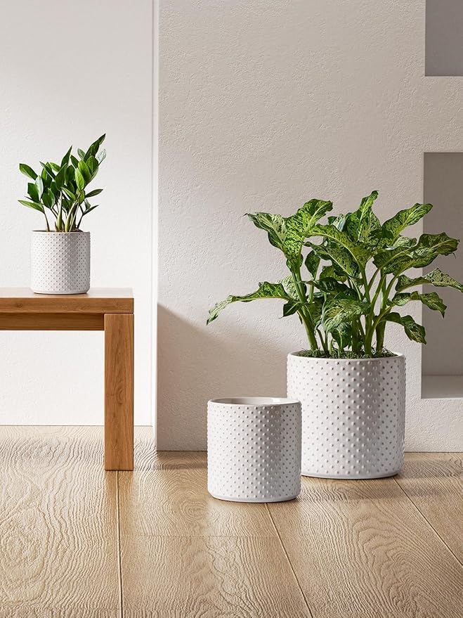 LE TAUCI Ceramic Plant Pots Indoor, 10+8+6 Inch Planters for Indoor Plants, Raised Dots Flower Pots with Drainage Hole and Plug, Cylinder Round Planters, Set of 3, Glaze Arctic White
