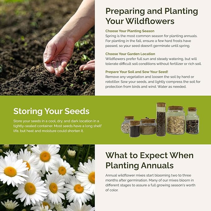 Eden Brothers Green with Envy Flower Mixed Seeds for Planting, 5 lb, 2,400,000+ Seeds with White Yarrow, Cornflower White | Attracts Pollinators, Plant in Spring or Fall, Zones 3, 4, 5, 6, 7, 8, 9, 10